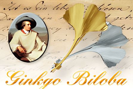 Joh.W.von Goethe, Gedichte: Ginkgo biloba